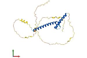 Protein Structure (PS) image for Neurogenin 1 (NEUROG1) (AA 1-237) protein (His tag) (ABIN7549831)