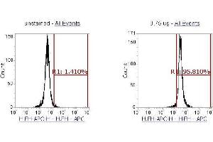 Flow Cytometry (FACS) image for anti-Fumarate Hydratase (FH) (AA 44-510) antibody (APC) (ABIN5568704) (FH Antikörper  (AA 44-510) (APC))