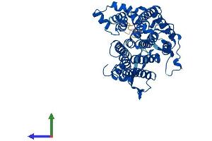 Protein Structure (PS) image for 7-Dehydrocholesterol Reductase (DHCR7) (AA 1-475) protein (His tag) (ABIN7547088)