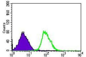 Flow Cytometry (FACS) image for anti-Calmegin (CLGN) (AA 249-405) antibody (ABIN1843003)