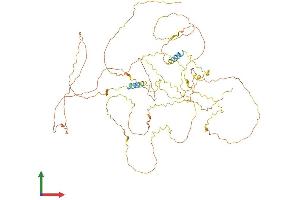 Protein Structure (PS) image for APC Membrane Recruitment Protein 2 (AMER2) (AA 1-672) protein (His tag) (ABIN7559249)