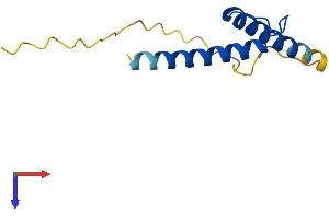 TAL2 Protein (AA 1-108) (His tag)