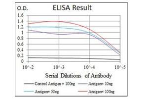 ELISA image for anti-Hexosaminidase A (HEXA) antibody (ABIN1105521) (Hexosaminidase A Antikörper)