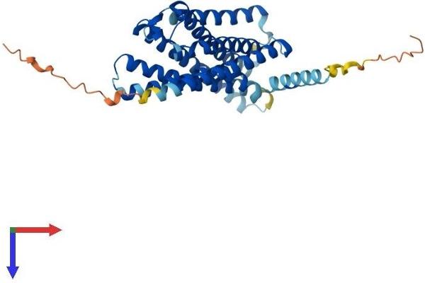 XCR1 Protein (AA 1-333) (His tag)