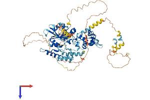 Lsg1 Protein (AA 1-658) (His tag)