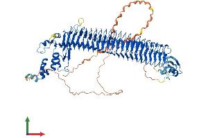 Protein Structure (PS) image for F-Box Protein 11 (FBXO11) (AA 1-930) protein (His tag) (ABIN7564199)