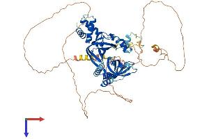 RMI1 Protein (AA 1-616) (His tag)