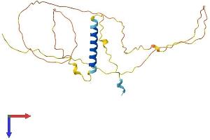 GAP43 Protein (AA 1-238) (His tag)