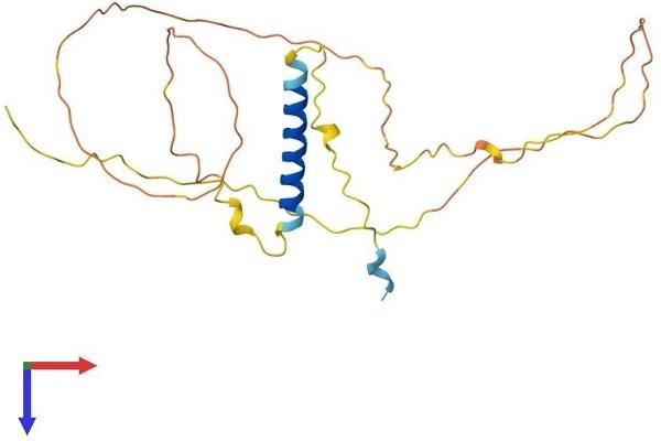 GAP43 Protein (AA 1-238) (His tag)