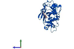 Protein Structure (PS) image for Fumarylacetoacetate Hydrolase Domain Containing 2A (FAHD2A) (AA 1-313) protein (His tag) (ABIN7557052)