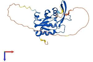 CTDSP1 Protein (AA 1-261) (His tag)