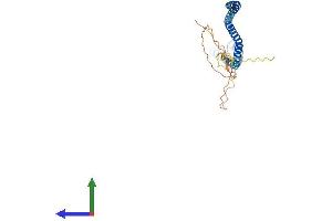Protein Structure (PS) image for NSL1, MIND Kinetochore Complex Component, Homolog (NSL1) (AA 1-281) protein (His tag) (ABIN7559529)