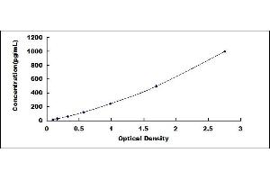 Typical standard curve (BPIFA1 ELISA Kit)