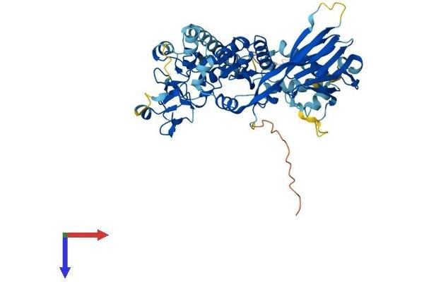 DGKE Protein (AA 1-564) (His tag)