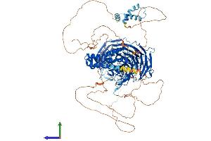 Protein Structure (PS) image for WD Repeat and HMG-Box DNA Binding Protein 1 (WDHD1) (AA 1-1129) protein (His tag) (ABIN7556010)