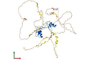 Protein Structure (PS) image for GATA Binding Protein 2 (GATA2) (AA 1-480) protein (His tag) (ABIN7547887)