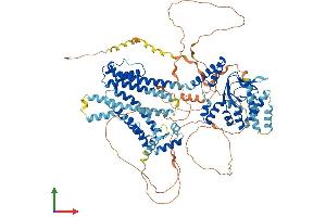 Protein Structure (PS) image for Hyperpolarization Activated Cyclic Nucleotide-Gated Potassium Channel 2 (HCN2) (AA 1-889) protein (His tag) (ABIN7554081)