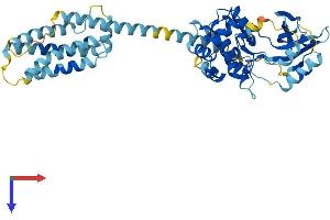 MLKL Protein (AA 1-471) (His tag)