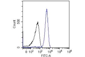 Flow-cytometry using the anti-p53 antibody (ABIN5668085) Jurkat cells were stained with unimmunized rabbit IgG antibody (black line) at a concentration of 10 µg/ml for 30 mins at RT. (Rekombinanter p53 Antikörper  (AA 371-380))