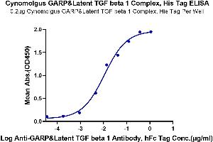 Immobilized Cynomolgus GARP&Latent TGF beta 1 Complex, His Tag at 2 μg/mL (100 μL/Well) on the plate.