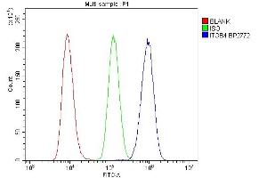Flow Cytometry analysis of Raji cells using anti-Integrin beta 4/ITGB4 antibody (ABIN7601135). (Integrin beta 4 Antikörper  (AA 29-431))