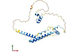 Protein Structure (PS) image for Lin-37 Homolog (LIN37) (AA 1-246) protein (His tag) (ABIN7561130)