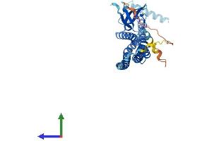 Protein Structure (PS) image for Endophilin-A1 (SH3G2) (AA 1-352) protein (His tag) (ABIN7557789)
