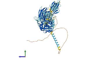Protein Structure (PS) image for Suppression of Tumorigenicity 14 (ST14) (AA 1-855) protein (His tag) (ABIN7555645)