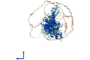 Protein Structure (PS) image for Ubiquitin Conjugation Factor E4 B (UBE4B) (AA 1-1302) protein (His tag) (ABIN7555906)