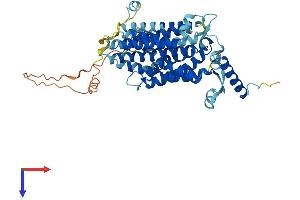 CDS1 Protein (AA 1-461) (His tag)