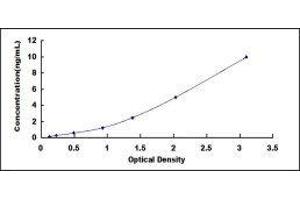Tumor Necrosis Factor Receptor Superfamily, Member 10b (TNFRSF10B) ELISA Kit