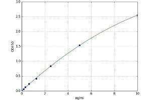 Carboxypeptidase B1 (Tissue) (CPB1) ELISA Kit