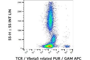 Flow cytometry analysis (surface staining) of human peripheral blood cells with anti-human TCR Vbeta5. (TCR beta (Vbeta5.3-Related) Antikörper)