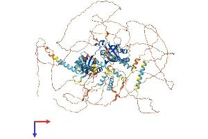 PER3 Protein (AA 1-1201) (His tag)