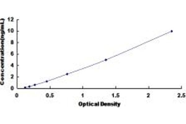 IL21 Receptor ELISA Kit