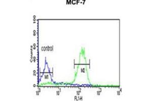 Fllow cytometric analysis of MCF-7 cells using LUC7L2 Antibody (C-term) Cat.