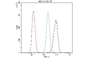 Flow Cytometry analysis of A431 cells using anti-Cytochrome C antibody (ABIN5693008).