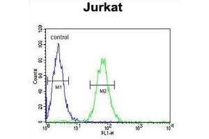 Flow Cytometry (FACS) image for anti-Protein tyrosine Phosphatase, Non-Receptor Type 11 (PTPN11) antibody (ABIN3002836)
