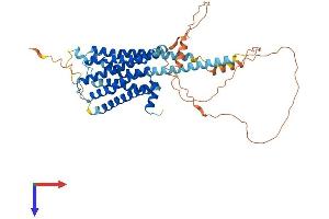 HRH1 Protein (AA 1-488) (His tag)