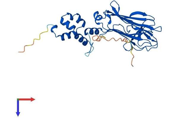 FBXO6 Protein (AA 1-293) (His tag)