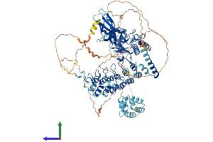 Protein Structure (PS) image for Nuclear Factor of kappa Light Polypeptide Gene Enhancer in B-Cells 1 (NFKB1) (AA 1-968) protein (His tag) (ABIN7554715)