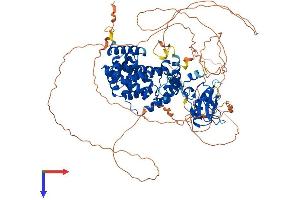 SH2D3C Protein (AA 1-860) (His tag)