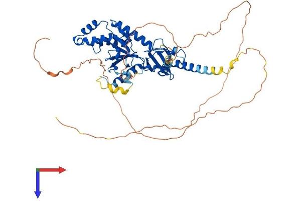 CACNB4 Protein (AA 1-519) (His tag)