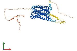Protein Structure (PS) image for G Protein-Coupled Receptor 63 (GPR63) (AA 1-425) protein (His tag) (ABIN7561408)
