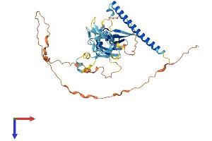 RASSF5 Protein (AA 1-418) (His tag)