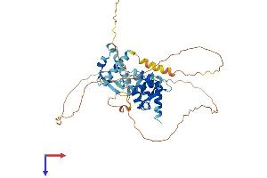 MAGEB6 Protein (AA 1-407) (His tag)