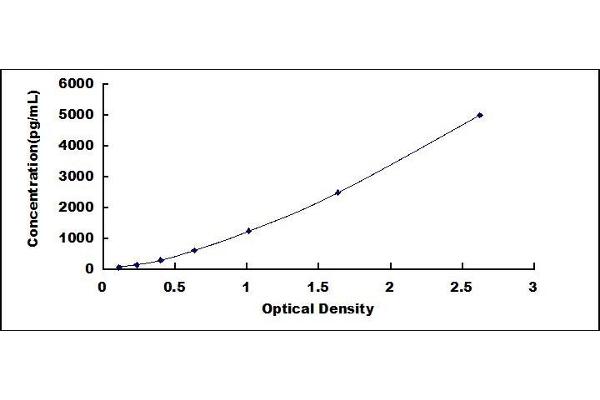 RGS2 ELISA Kit