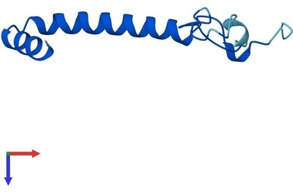 NDUFA4 Protein (AA 1-81) (Fc Tag)