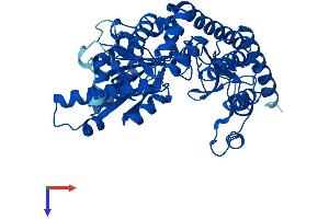DDC Protein (AA 1-480) (His tag)