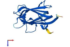 HSPB11 Protein (AA 1-144) (His tag)